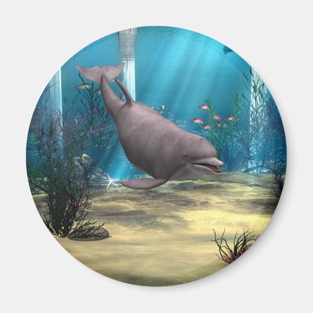 Delfin Magnet (Vorne)
