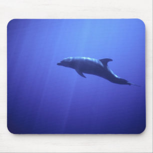 Delfin Mousepad