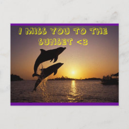 Delfin Postkarte