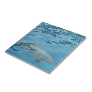 Delfin schwimmt durch klares blaues Wasser Fliese