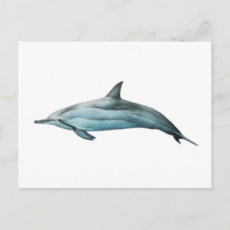 Delfin Spinner Postkarte