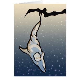 Delfincocoon