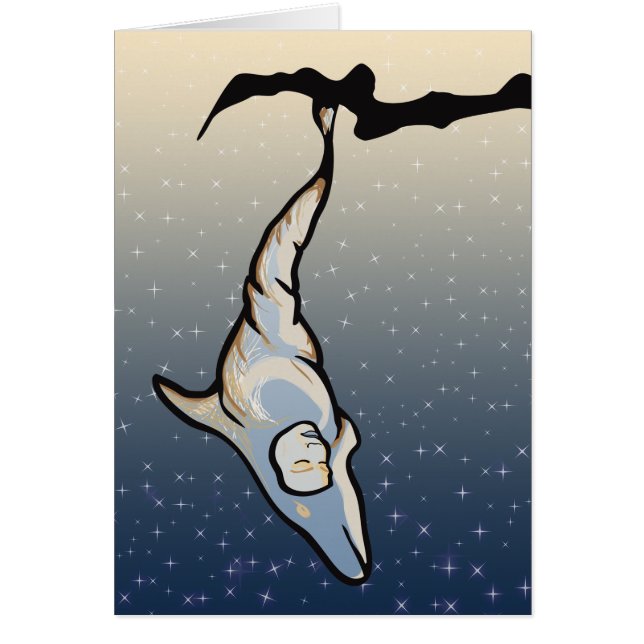 Delfincocoon (Vorne)