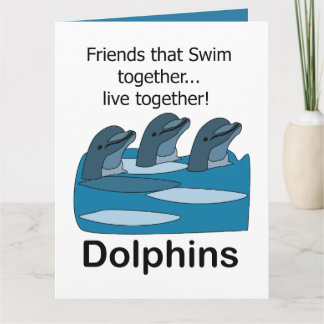 Delfine Aquatische Meeressäuger Freundschaft Karte