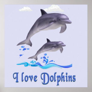 Delfine Poster