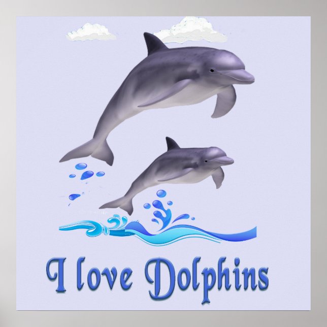 Delfine Poster (Vorne)