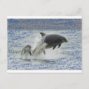 Delfine Postkarte