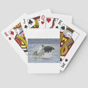 Delfine Spielkarten