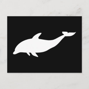 Delfinform Postkarte