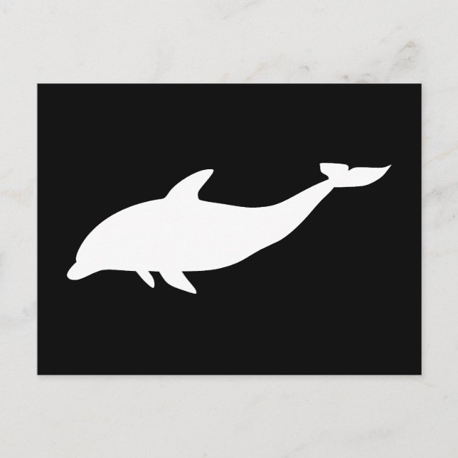 Delfinform Postkarte (Vorderseite)
