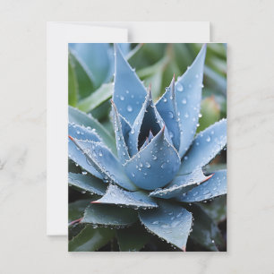 Delicate Agave botanisch fotorealistisch digital Postkarte