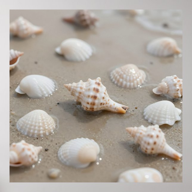 Delicate Seashells Beach Serenity Poster (Vorne)