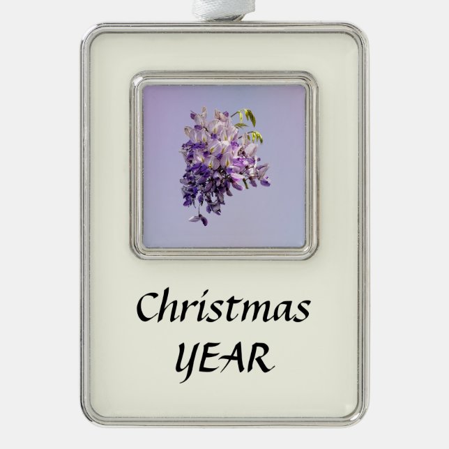 Delicate Wisteria Rahmen-Ornament Silber (Vorderseite)