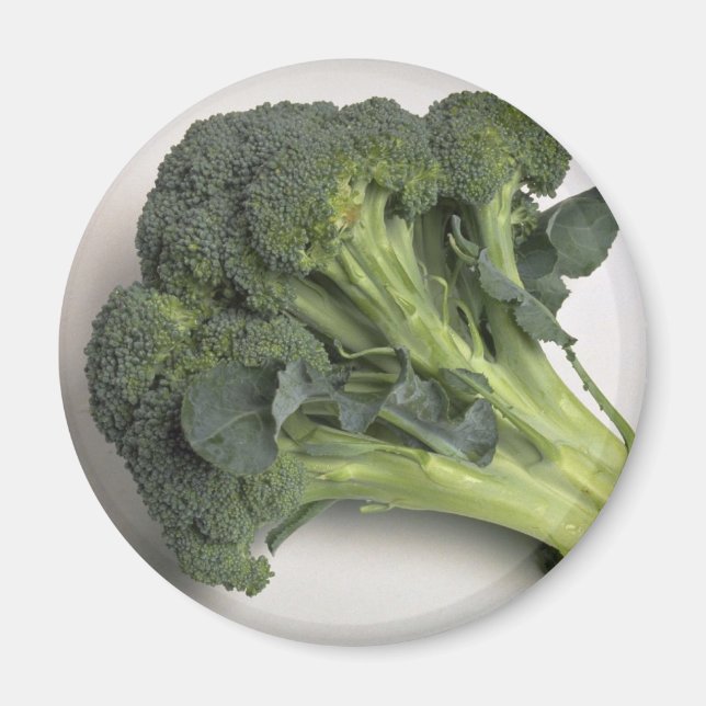 Delicious Broccoli Magnet (Vorne)