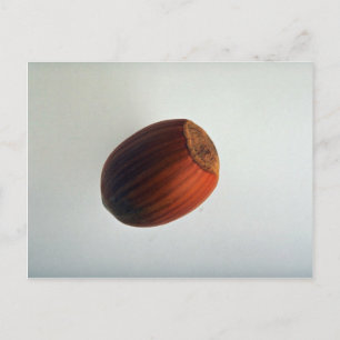 Delicious Filbert Postkarte