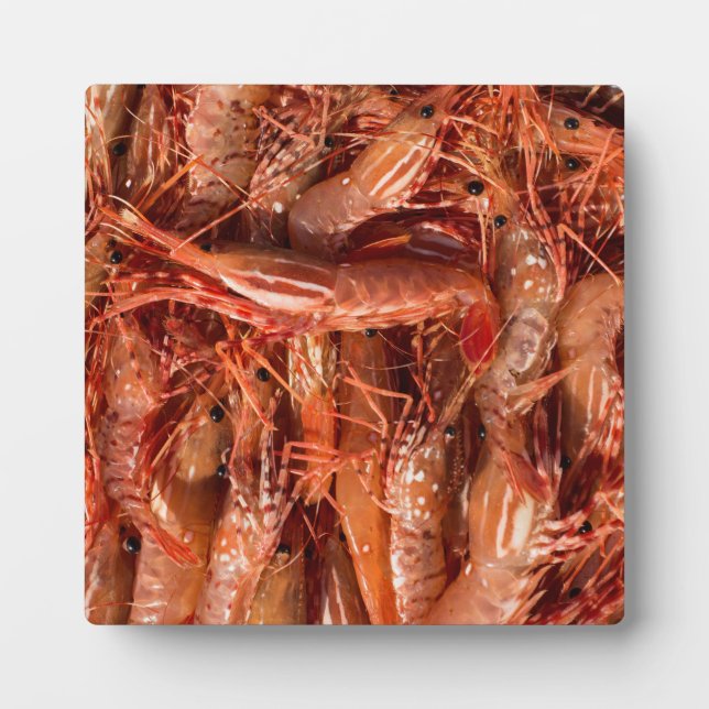 Delicious Prawns Fotoplatte (Vorderseite)