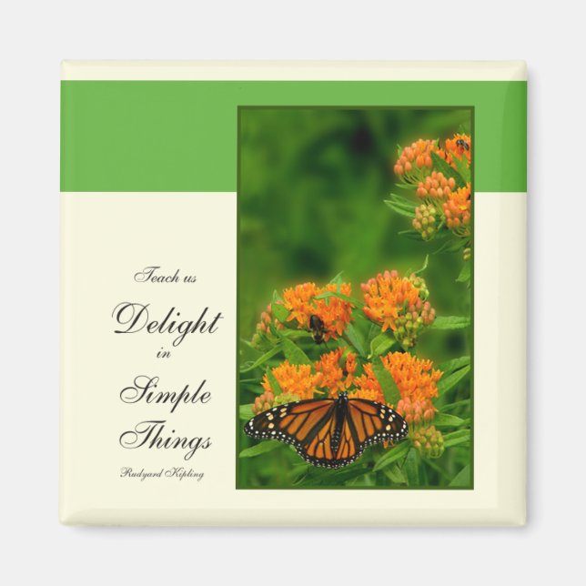 Delightful Butterfly Magnet (Vorne)