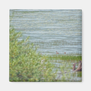 Delikatbewegung Magnet