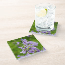 Delikate blaue Blumen auf einem grünen Feld im Frü Glasuntersetzer