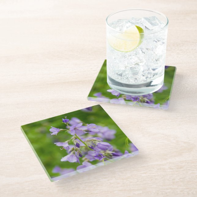 Delikate blaue Blumen auf einem grünen Feld im Frü Glasuntersetzer (Schrägansicht)