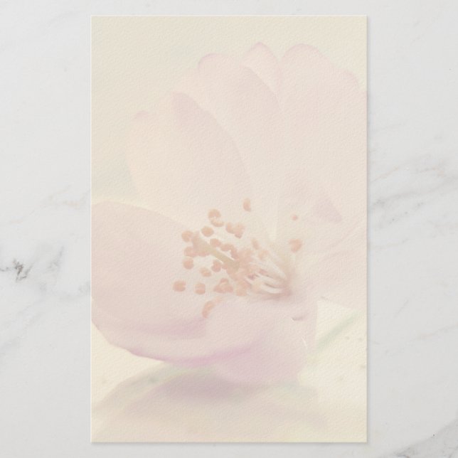Delikate Blume Soft Pink Cherry Blossom Briefpapier (Vorderseite)