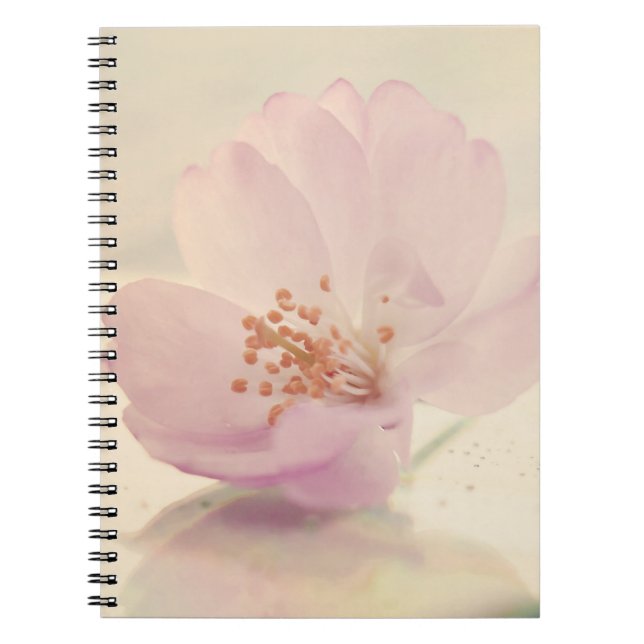 Delikate Blume Soft Pink Cherry Blossom Notizblock (Vorderseite)
