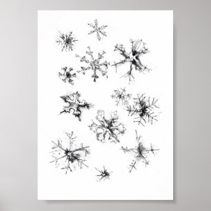 Delikate fallende Schneeflocken Poster