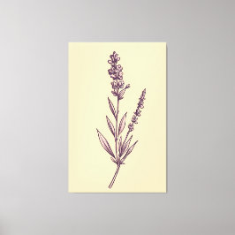 Delikate Lavendel Sprig auf Creme Background Leinwanddruck