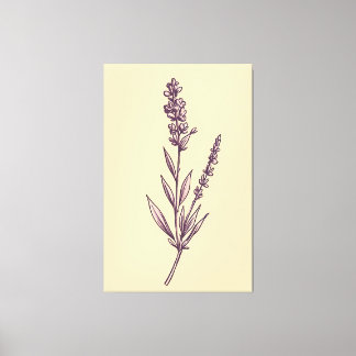 Delikate Lavendel Sprig auf Creme Background Leinwanddruck
