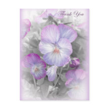 Delikate Lila Stiefmütterchen Danke Postcard