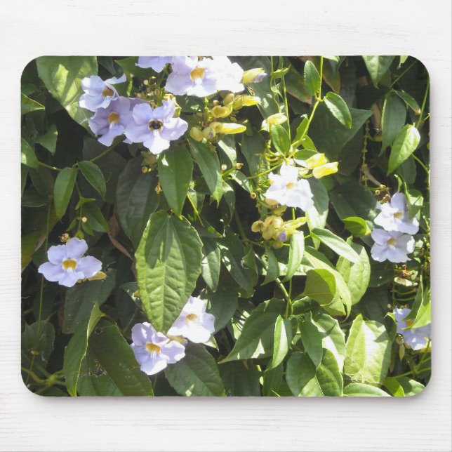 Delikate Morning Glories Mousepad (Vorne)