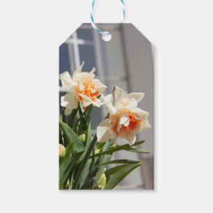 Delikate niedliche Narzissen Geschenkanhänger