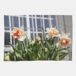 Delikate niedliche Narzissen Geschirrtuch