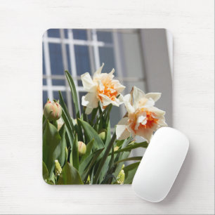 Delikate niedliche Narzissen Mousepad