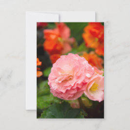 Delikate rosa Blume nach Regen