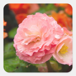 Delikate rosa Blume nach Regen Quadratischer Aufkleber