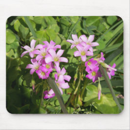 Delikate Rosa Frühlingssonne - Wildblumen Mousepad