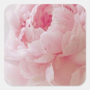 Delikate rosa Peony Stickers