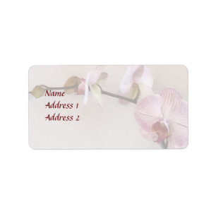 Delikate rosa Phalaenopsis Orchid Hochzeitsprodukt Adressaufkleber