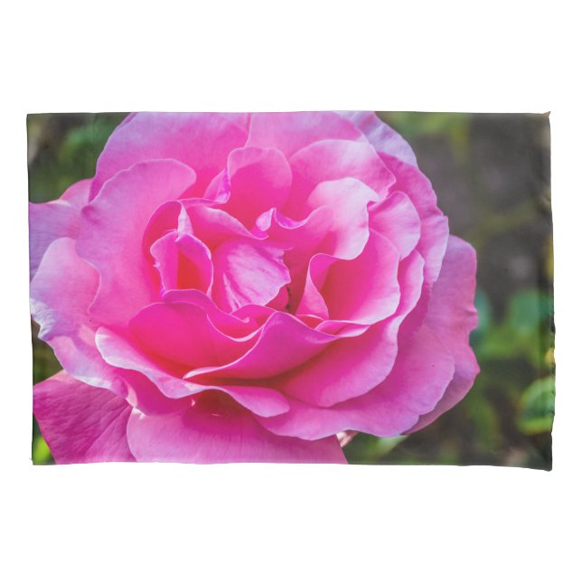 Delikate rosa Rosa Rose. Kissenbezug (Vorderseite)