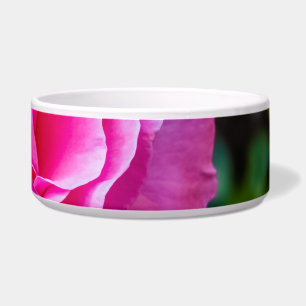 Delikate rosa Rosa Rose. Napf