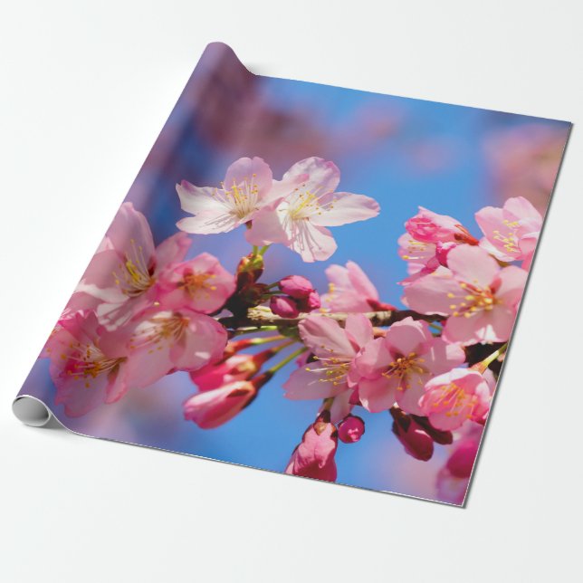 Delikate Rosa Sakura-Blume Geschenkpapier (Ungerollt)