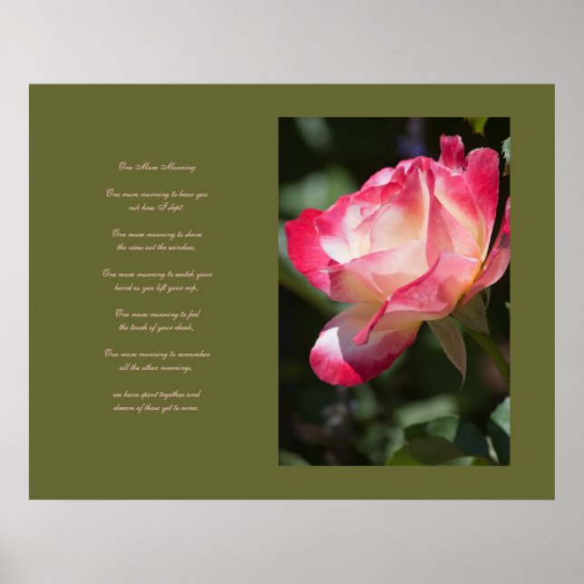 Delikate Rose und Liebe Poster (Vorne)