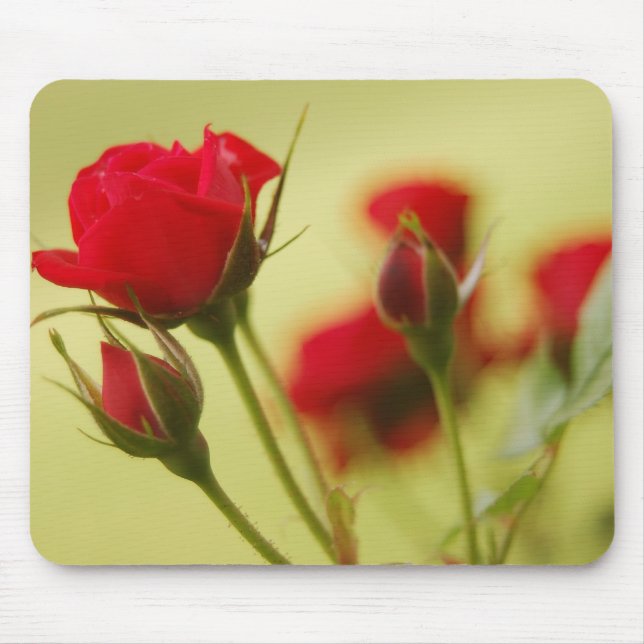 Delikate Rote Rose Mousepad (Vorne)
