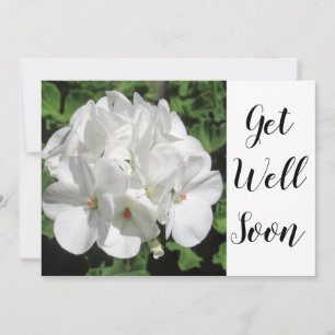 Delikate weiße Geranium Fotos erhalten eine gut fl