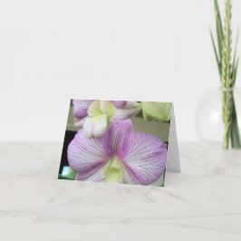 Delikate, weiße und lila Orchidee auf einer Dankes Dankeskarte