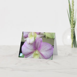 Delikate, weiße und lila Orchidee auf einer Dankes Dankeskarte