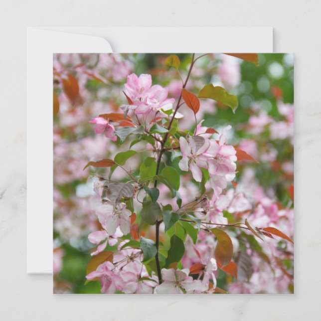 Delikater Apfelbaum mit Blume Einladung (Vorderseite)