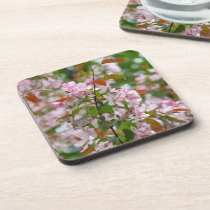 Delikater Apfelbaum mit Blume Getränkeuntersetzer