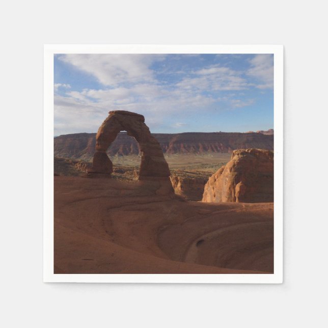 Delikatesse Arche II im Nationalpark Arches Serviette (Vorderseite)